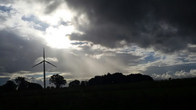 Bild1